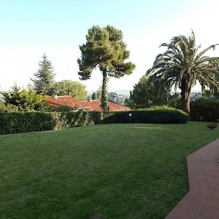 N119 - Numana, Singola Quadrilocale Con Giardino *